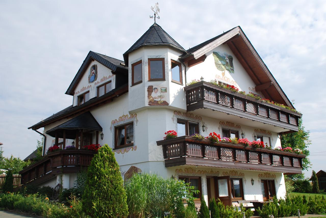 Hotel Alpenhof Markneukirchen Exteriér fotografie
